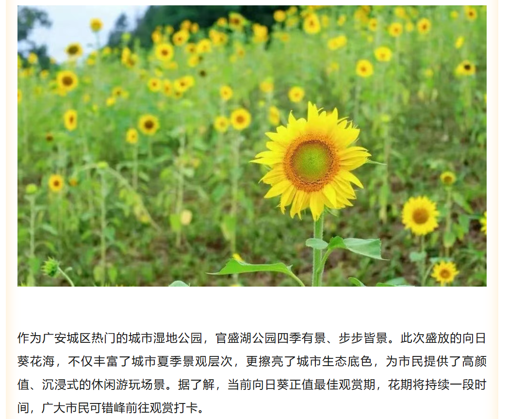 图片顺怀