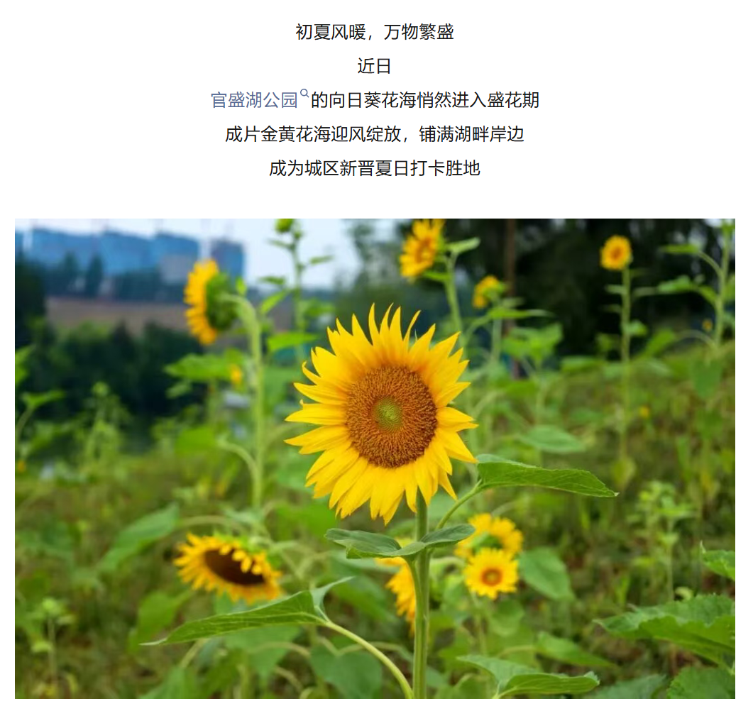 图片顺怀