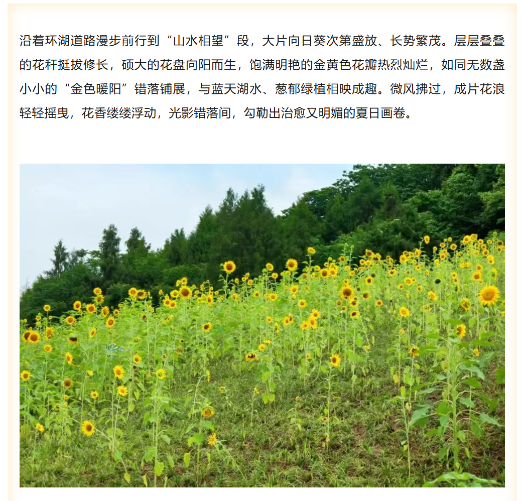 图片顺怀
