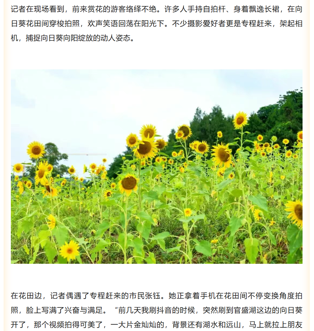 图片顺怀
