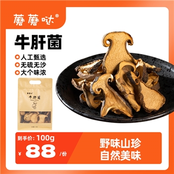 蘑蘑哒牛肝菌