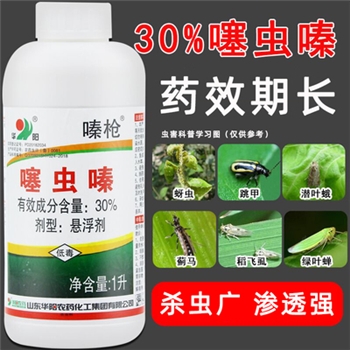 噻虫嗪螓农药杀虫剂蚜虫蓟马白粉虱水稻花卉蔬菜果树专用药